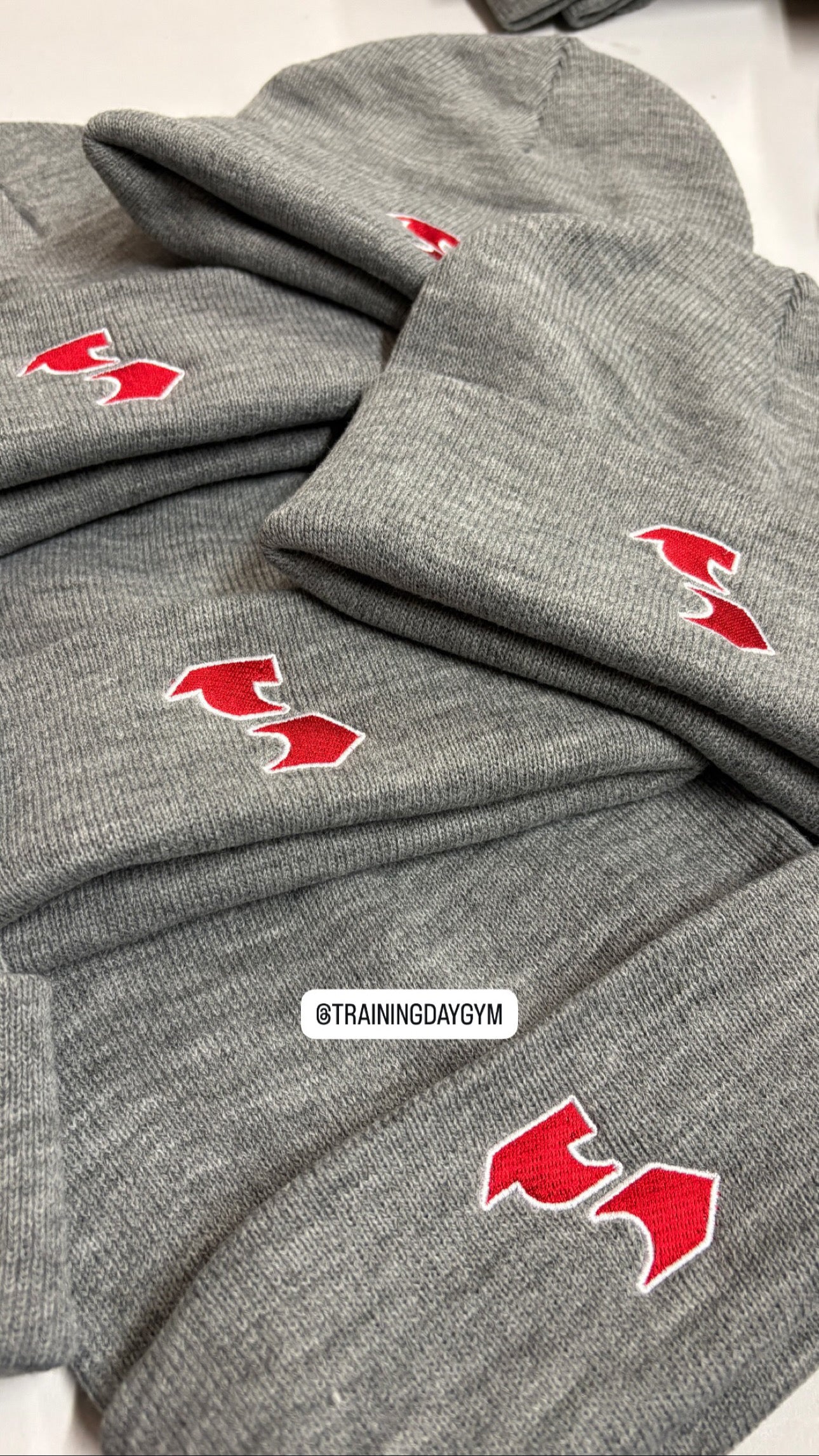 *PRE SALE* TD GYM BEANIES