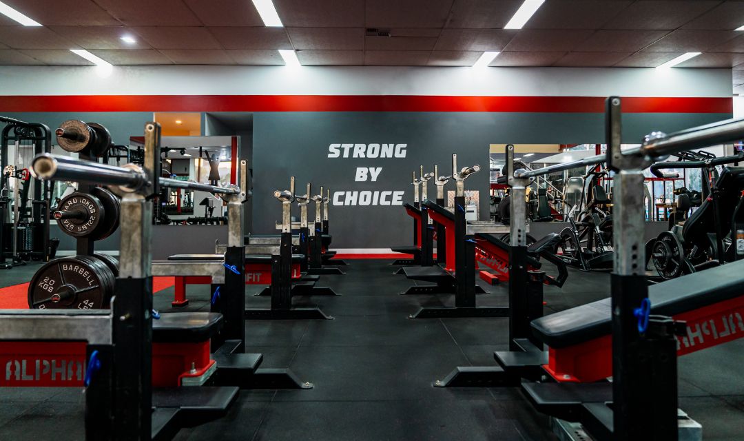 Limited offer – 2 Weeks for $29.95 Training Day Gym Clayton