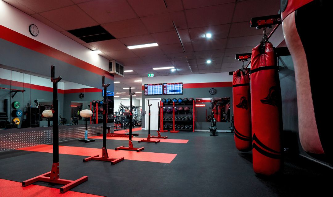Limited offer – 2 Weeks for $29.95 Training Day Gym Clayton